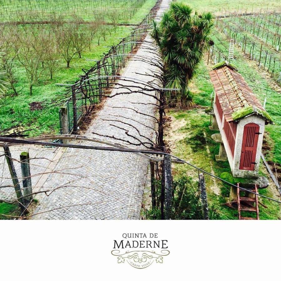 فيلا Quinta De Maderne فيلجويراس المظهر الخارجي الصورة